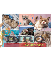 TF Puzzle "100" - In lumea pisicilor